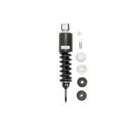 Ammortizzatore, montaggio cabina MONROE CB0106