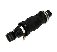 Ammortizzatore, montaggio cabina MONROE CB0116