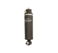 Ammortizzatore, montaggio cabina MONROE CB0212