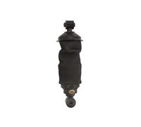 Ammortizzatore, montaggio cabina MONROE CB0221