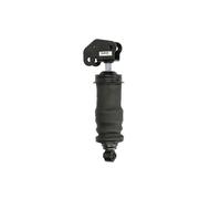Ammortizzatore, montaggio cabina MONROE MAGNUM Cabin MONROE CB0171