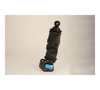 Ammortizzatore, montaggio cabina Super Touring SACHS 313 072