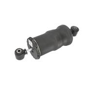 Ammortizzatore, montaggio cabina SACHS 313 078