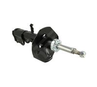 Ammortizzatore Montaggio, esterno 810 345 HART