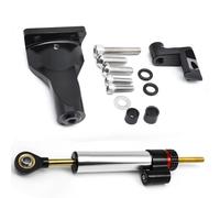 Ammortizzatore moto Compatibile Con Yamaha Per YZF Per MT03 2021-2023 Fxcnc 2023 2022 2021 Ammortizzatore Di Sterzo Per Motocicletta Kit Di Montaggio Staffa Ammortizzatori Stabilizzatori(Silver)
