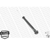 Ammortizzatore MONROE 23925