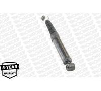 Ammortizzatore Monroe V2517 Van-magnum per Citroën Fiat Peugeot Citroën/peugeot