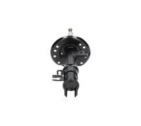 KAVO PARTS SSA-10181 Ammortizzatore