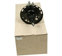 Ammortizzatore originale Renault Megane 08 - Olio anteriore 543020016R