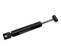 Ammortizzatore per ammortizzatore Peitz BPW PAV/SR 0,85 + PAH A a M (Senza manica)