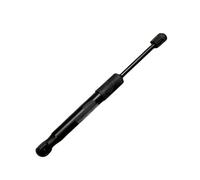 Ammortizzatore Per Tesla Per il Modello Y Supporto pressione gas tronco anteriore 2020-presente 1505547-00-A Ammortizzatore(Nero)