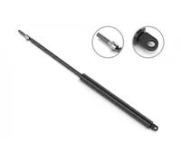 Ammortizzatore pneumatico 054607 STABILUS