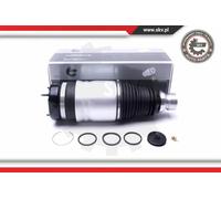ESEN SKV Ammortizzatore pneumatico 58SKV060 Anteriore Dx Forcella inferiore