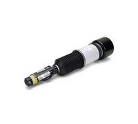 Ammortizzatore pneumatico anteriore Ponte superiore AS-2605 Arnott