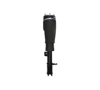 Ammortizzatore pneumatico anteriore Sx APL017MT Magnum Technology per LAND ROVER