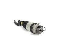 Arnott AS-3057 Ammortizzatore pneumatico