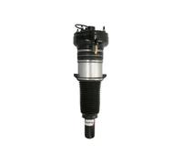 Magnum Technology APA004MT Gamba elastica con ammortiz. pneumatico per AUDI