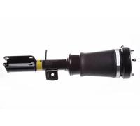 Ammortizzatore pneumatico Assale anteriore Dx DSA009G DENCKERMANN per BMW X5