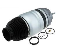 NTY EZC-PS-019 Molla pneumatica