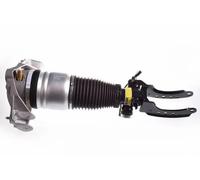 Ammortizzatore pneumatico Assale anteriore Dx Forcella inferiore DSA015G per VW