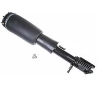 Ammortizzatore pneumatico Assale anteriore Dx Spina superiore DSA024G