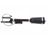Ammortizzatore pneumatico Assale anteriore Forcella inferiore DSA001G