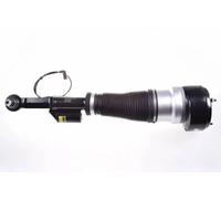 Ammortizzatore pneumatico Assale anteriore Sx DSA020G DENCKERMANN