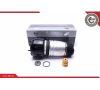ESEN SKV 58SKV064 Ammortizzatore pneumatico