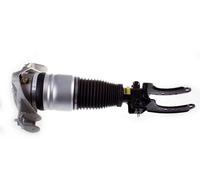 Ammortizzatore pneumatico Assale anteriore Sx Forcella inferiore DSA014G per VW