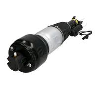 Japanparts MM-AS039 Puntone Aria Anteriore SX per Mercedes-Benz W211 S211 C219