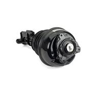 Arnott AS-3238 Ammortizzatore pneumatico