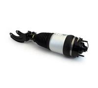 Puntone della sospensione pneumatica ARNOTT EUROPE ASE-4374 per TOUAREG 3 2010-