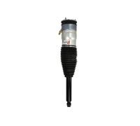 Magnum Technology APQ002MT Ammortizzatore pneumatico
