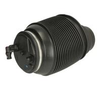 Ammortizzatore pneumatico Assale post. bilaterale MZT002MT Magnum Technology