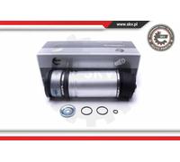 ESEN SKV 58SKV063 Ammortizzatore pneumatico