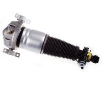 Ammortizzatore pneumatico Assale posteriore Dx Occhiello inferiore DSA017G