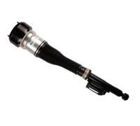 Ammortizzatore pneumatico Assale posteriore Sx Occhiello inferiore 44-109479