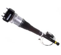 Ammortizzatore pneumatico Assale posteriore Sx Occhiello inferiore DSA006G