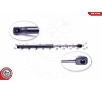 Ammortizzatore pneumatico, Cofano motore Cofano motore per AUDI A8