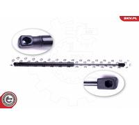 Ammortizzatore pneumatico, Cofano motore Cofano motore per AUDI A8