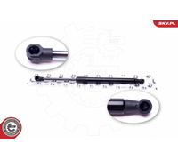 Ammortizzatore pneumatico, Cofano motore Cofano motore per AUDI BMW 5 A6