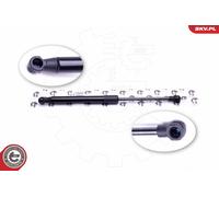 Ammortizzatore pneumatico, Cofano motore Cofano motore per BMW 3