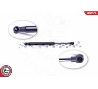 Ammortizzatore pneumatico, Cofano motore Cofano motore per BMW X5