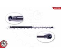 Ammortizzatore pneumatico, Cofano motore Cofano motore per CITROËN C5