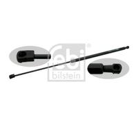 Ammortizzatore Pneumatico Cofano Motore Febi Bilstein 23649 per Bmw