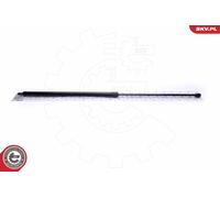 Ammortizzatore pneumatico, Cofano motore per AUDI 100