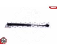 Ammortizzatore pneumatico, Cofano motore per AUDI A6 A6 Allroad A7