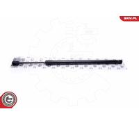 Ammortizzatore pneumatico, Cofano motore per AUDI R8