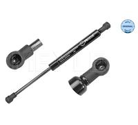 Ammortizzatore pneumatico, Cofano motore per BMW X5