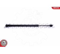Ammortizzatore pneumatico, Cofano motore per BMW Z4